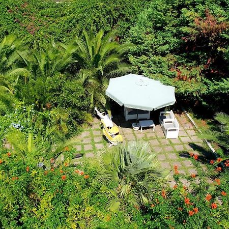 B&B Il Giardino Di Villa Anna Trecase Exteriér fotografie