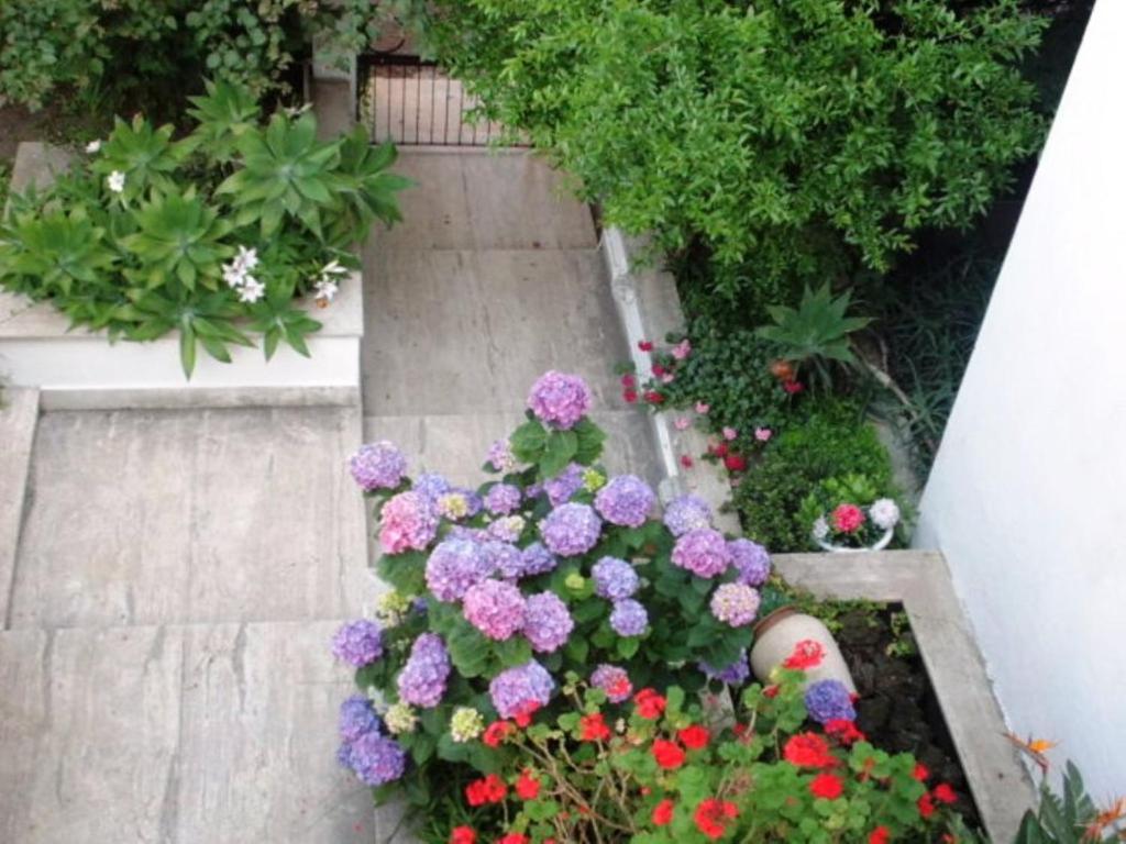 B&B Il Giardino Di Villa Anna Trecase Exteriér fotografie