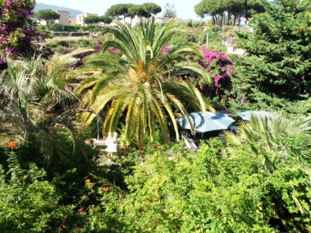 B&B Il Giardino Di Villa Anna Trecase Exteriér fotografie