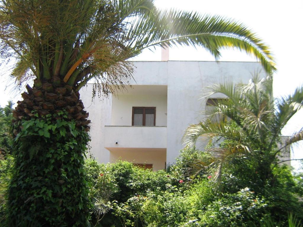 B&B Il Giardino Di Villa Anna Trecase Exteriér fotografie