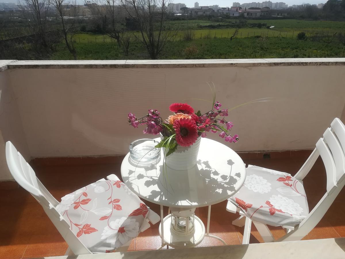 B&B Il Giardino Di Villa Anna Trecase Exteriér fotografie