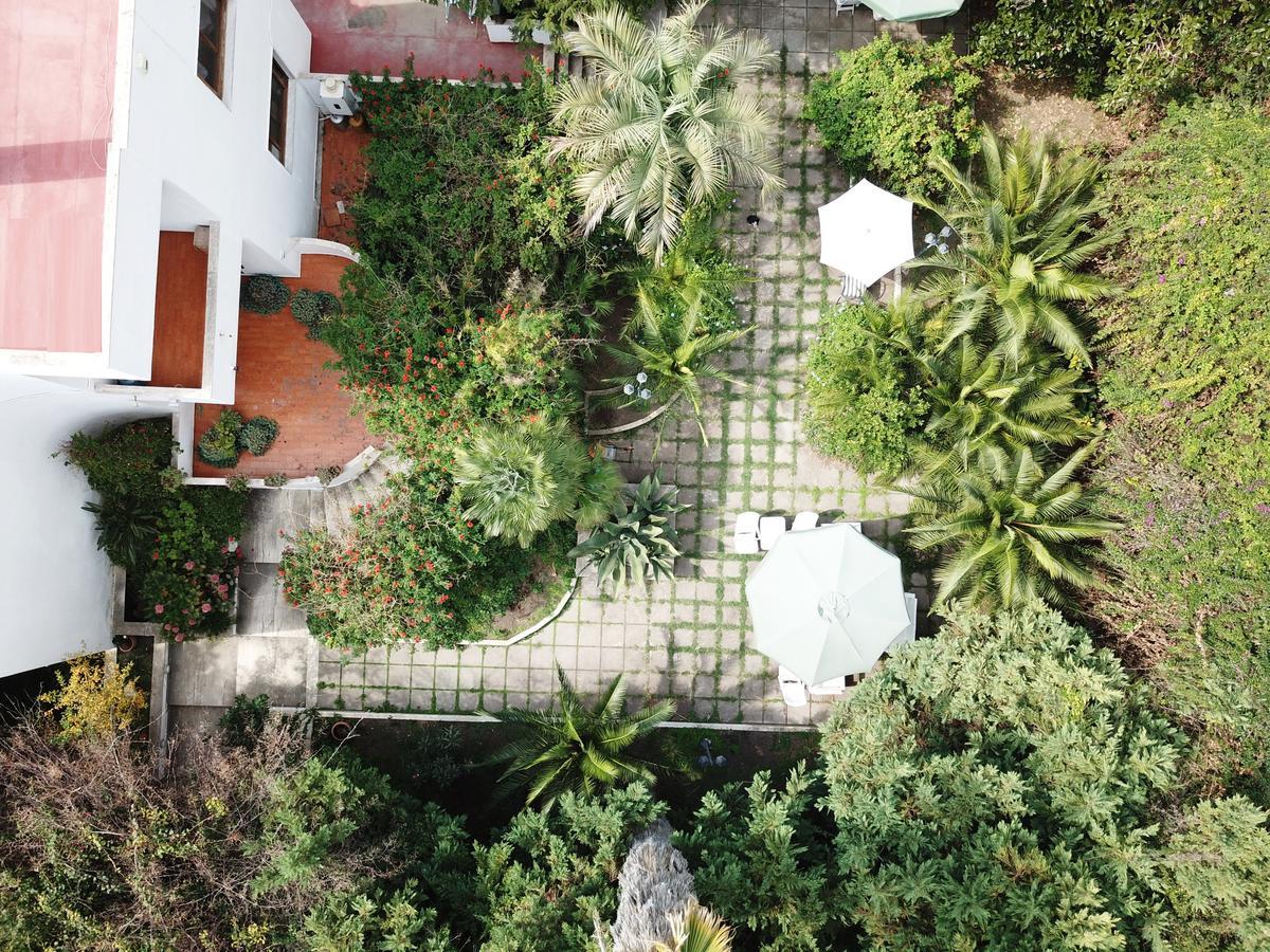 B&B Il Giardino Di Villa Anna Trecase Exteriér fotografie