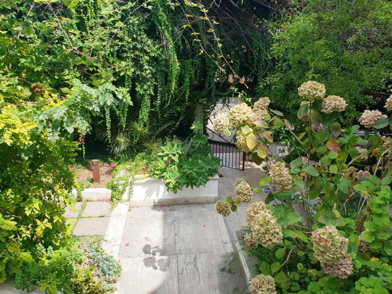 B&B Il Giardino Di Villa Anna Trecase Exteriér fotografie