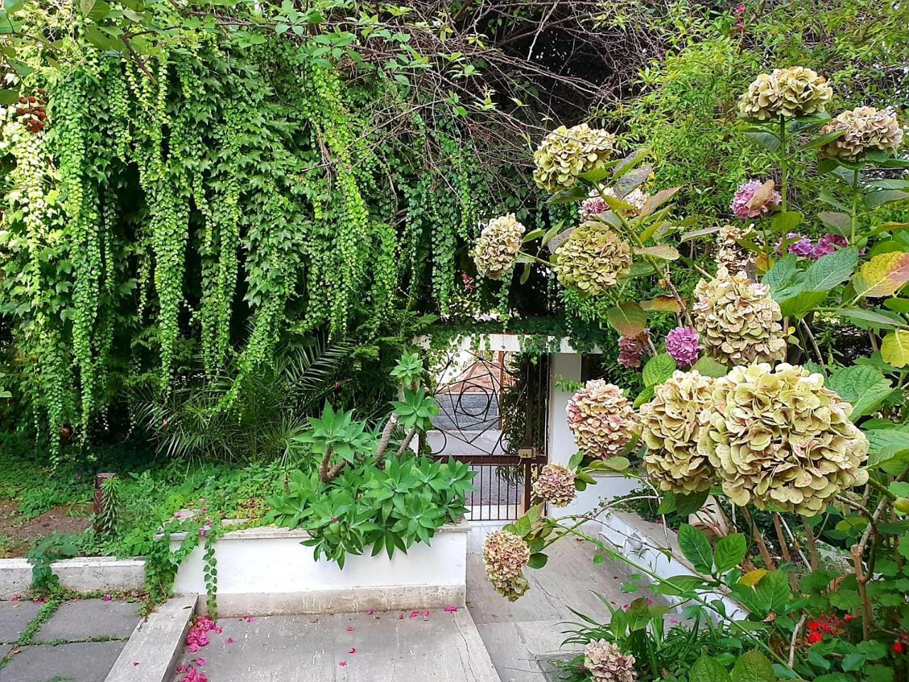 B&B Il Giardino Di Villa Anna Trecase Exteriér fotografie