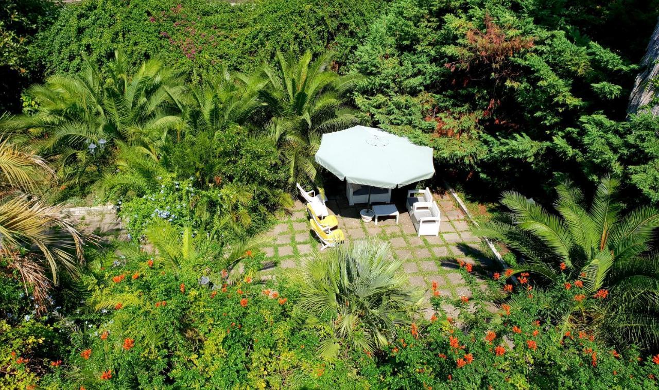 B&B Il Giardino Di Villa Anna Trecase Exteriér fotografie