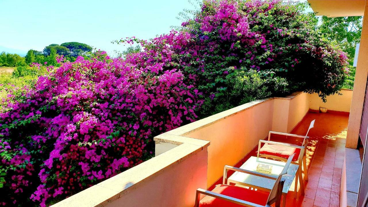 B&B Il Giardino Di Villa Anna Trecase Exteriér fotografie